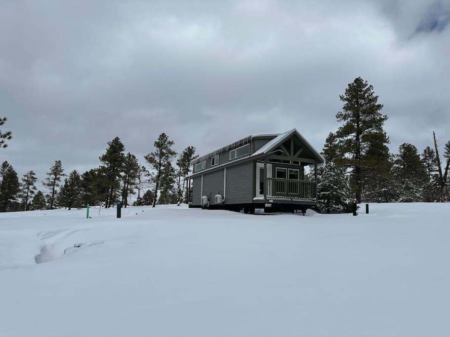 Cabins With A Mountain View 5A 윌리엄스 외부 사진