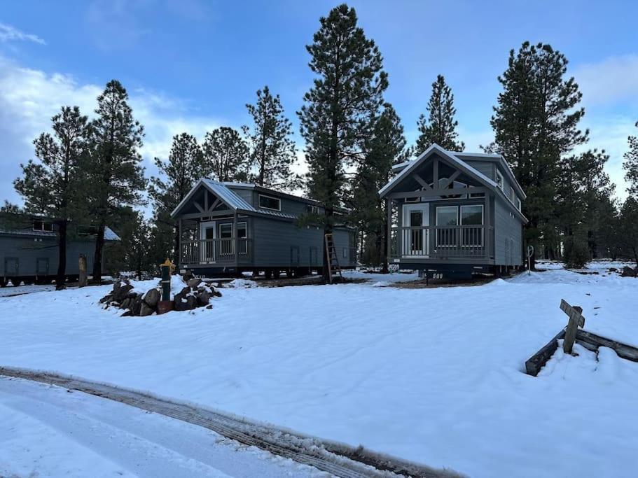 Cabins With A Mountain View 5A 윌리엄스 외부 사진