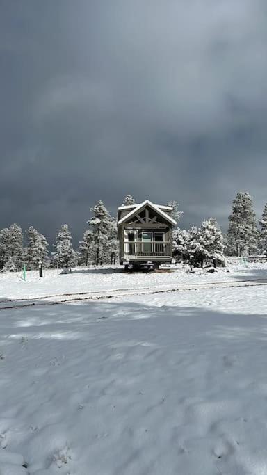 Cabins With A Mountain View 5A 윌리엄스 외부 사진